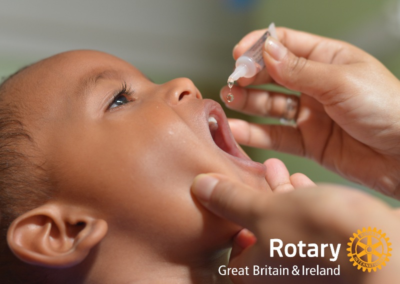 Polio Vaccine 16 RIBI Branding